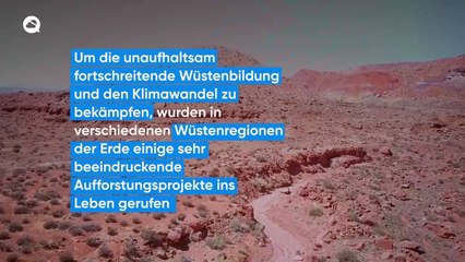 Wüstenbegrünung - eine gute Idee oder ein großer Fehler?