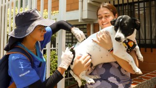 Medellín vacuna sus mascotas contra la rabia