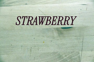STRAWBERRY FIELDS FOREVER - stop motion