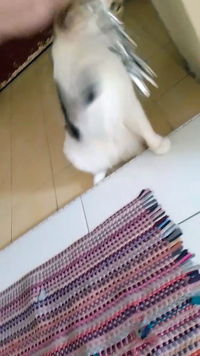 VID_20240531_163157
