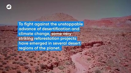 Greening deserts, a good idea or a big nonsense?