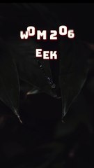 Enhancing Interpersonal Relationships: COM 205 Week 6 Discussion Guide