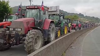 프랑스·스페인 농민 고속도로 점거...규제완화 요구 / YTN