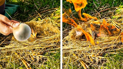 Best surviving tips for different Camps