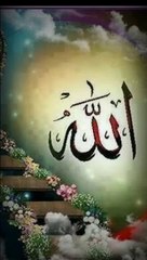 इस्लामी लघु वीडियो कुरान अनुवादlislami short videos Quran tarjumal اسلامی مختصر ویڈیوز قرآن ترجمہ