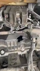 Une balle a traverser le moteur de sa voiture