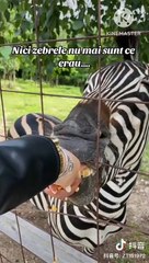 It's funny entertainment channel for all age