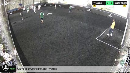 Faute de Sylvere Soares - THALES