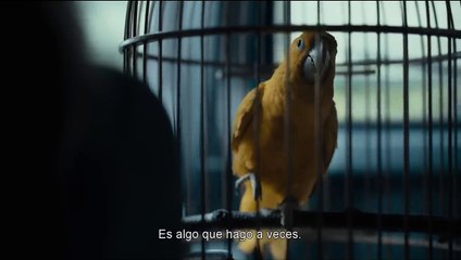 'Observados' - Tráiler oficial subtitulado