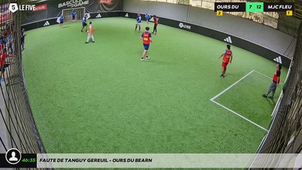 Faute de Tanguy Gereuil - OURS DU BEARN
