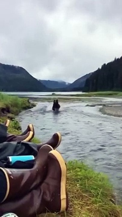 Encounter with bear