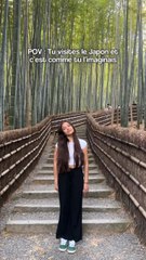 Qui rêve d’aller au Japon ? Aka le meilleur pays de cette terre 