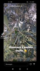 qualcosa e' andato storto