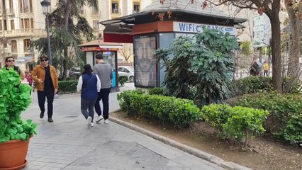 Wild Fun: Bushman Prank Causes Chaos