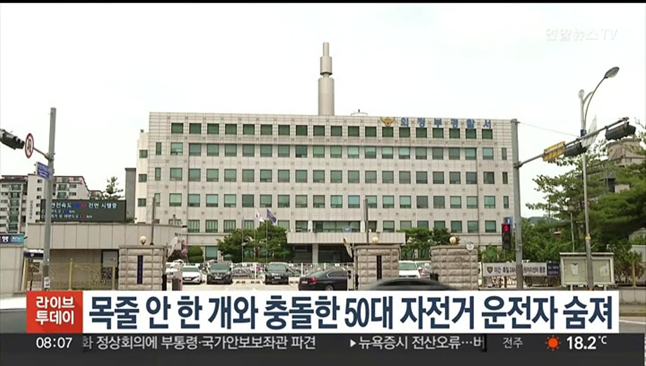 목줄 안 한 개와 충돌한 50대 자전거 운전자 숨져