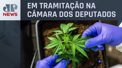 CCJ deve começar análise da PEC das Drogas nesta terça (04)