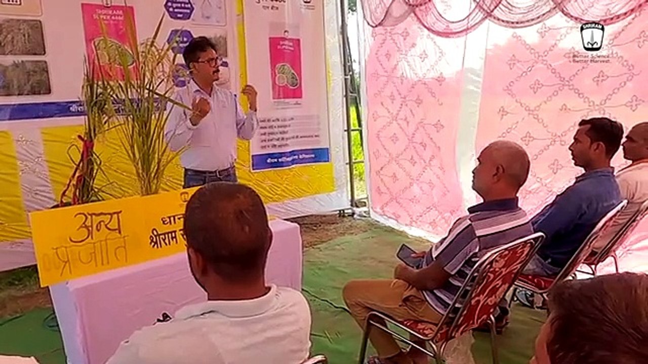 Farmers Review Shriram Super 4466 Rice Seeds: Higher Yield & Income