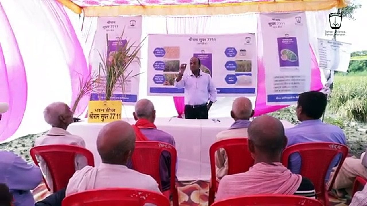 Discover Shriram Super 7711: Quality & Yield Insights from Gorakhpur, UP