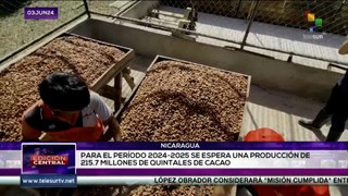 Nicaragua promueve producción de cacao