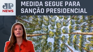 Projeto na Câmara pode trazer riscos ambientais ao Brasil; Patrícia Costa analisa