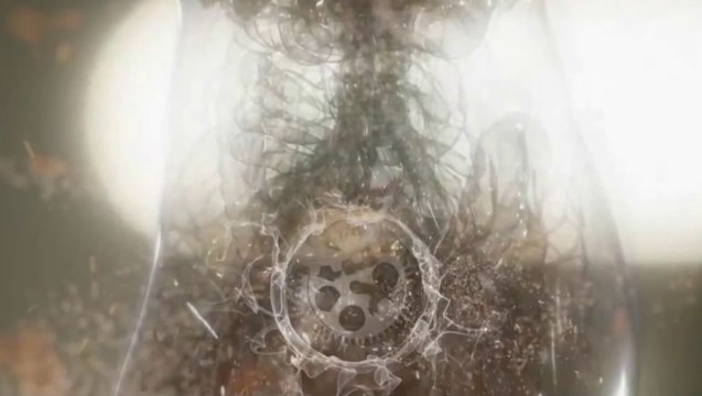 Boost Your Metabolism and Daily Energy - Simple and Effective!