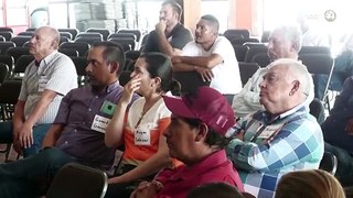 Por bajos costos, agaveros se alían para comercializar planta a 14 pesos y crear su propio tequila