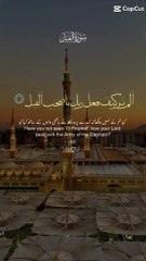 Islamic video status  Allah Akbar  subhanallah  Mashallah 