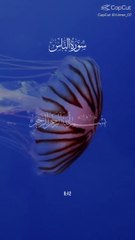 Surah An-Nas | Surah Naas