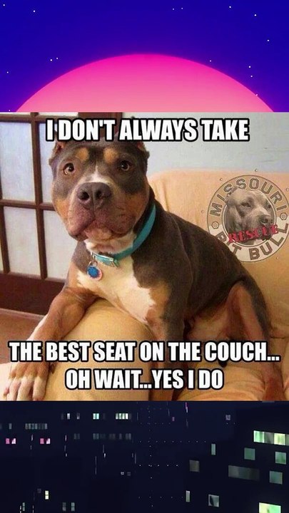weeks best meme #20 #Funny magic #Too Funny #Viral Comedy Video #Jokes# Memes# Comedy Video