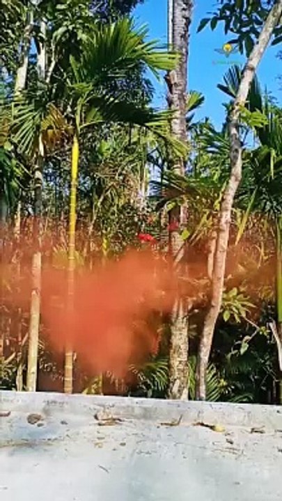 The Bamboo Make