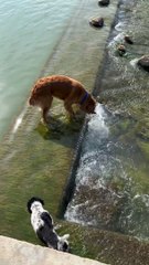 See where you put your step.