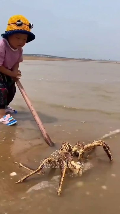 बाप रे बच्चे ने मछली पकड़ ली  Baap re Bacche Ne fish Pakar Li