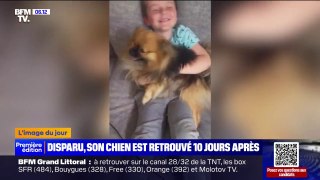 Haute-Garonne: les retrouvailles émouvantes entre un petit garçon et son chien thérapeutique, disparu depuis 10 jours