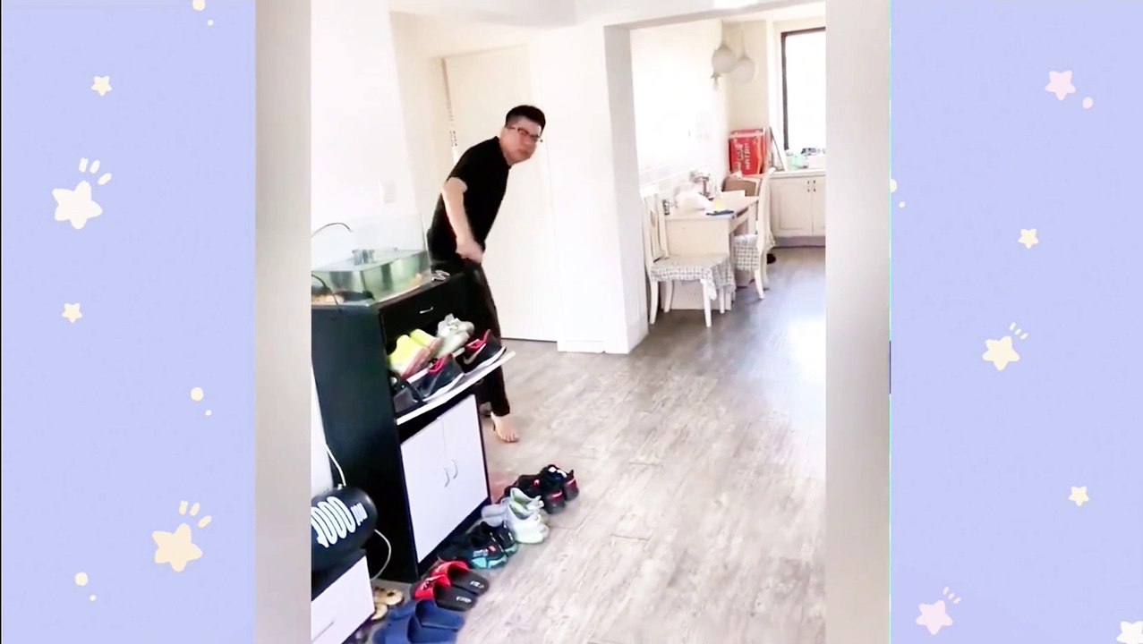 Funny shorts 