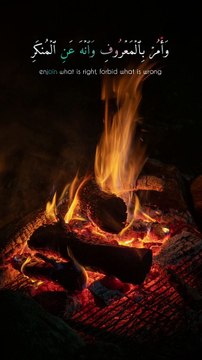 Islamic video #islamic #Quran #islam #viralvideos #qurantilawat #Qurantaste