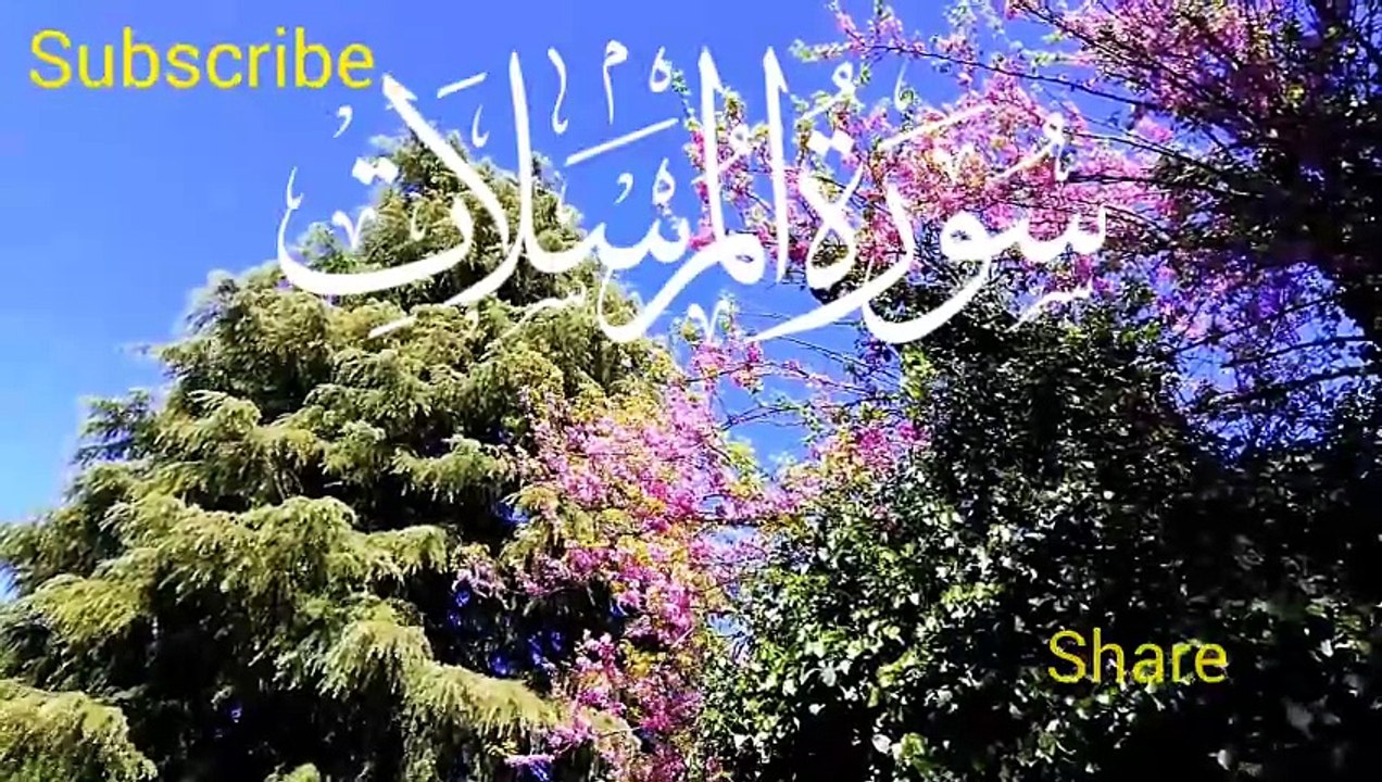 #Islamic Teachings"#Islam#Quran#Surah#taqareer#fly