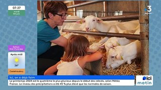 Agriculture, Toulouse à Tables et Guinguettes