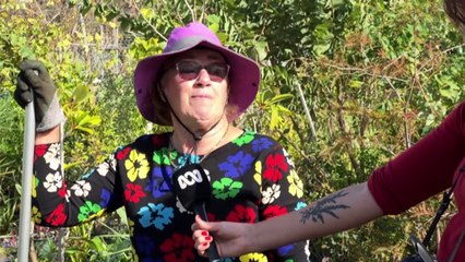 Bunbury small businesses hit hard by weekend storm, community rallies as they await government aid