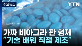 가짜 비아그라 판 60대 형제...