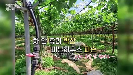 [현장의재구성] 오물도 표현인가…선 넘은 북한 대남풍선