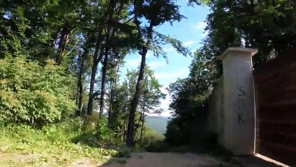 Schwierig und schön! MTB Lainzer Tiergarten-Strecke POV (13)