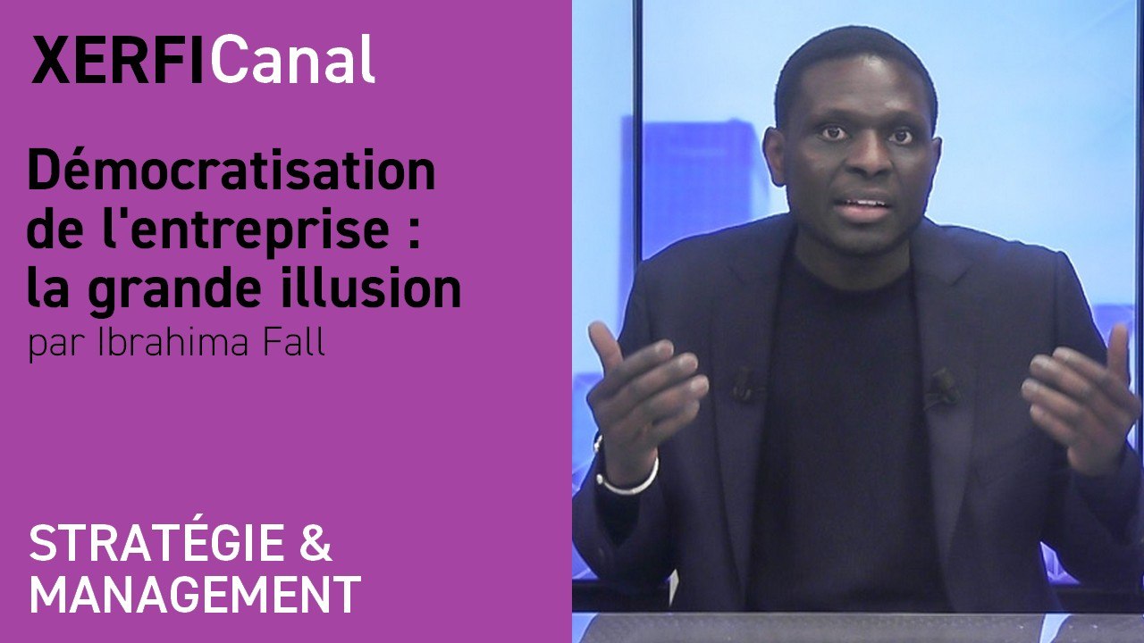 Démocratisation de l'entreprise : la grande illusion [Ibrahima Fall]
