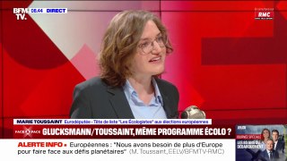 Marie Toussaint, tête de liste Les Écologistes, estime que la différence entre son programme et celui de Raphaël Glucksmann, c'est 