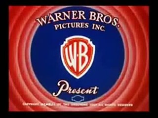 Abbott & Costello  Babbit and Catstello - A tale of two kitties