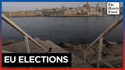 EU voters voice their hopes and fears, from environment and agriculture to prices and patriotism