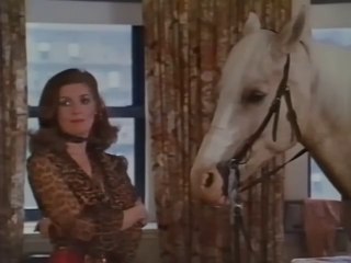 1981 Senior Trip (1981) – Classic Teen Comedy About Adventure & Self-Discovery 🌟 - thumbnail