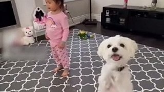Dance Party Explosion! Toddler & Dog Bust Out Moves You Won't Believe