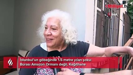Burası Amazon Ormanı değil Kağıthane! 1 buçuk metrelik yılan şoku