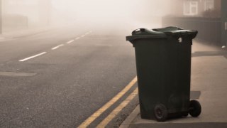 Research reveals millennials throw out more trash than other Americans