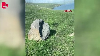 Yeşil sinekler hortum görüntüsü oluşturdu